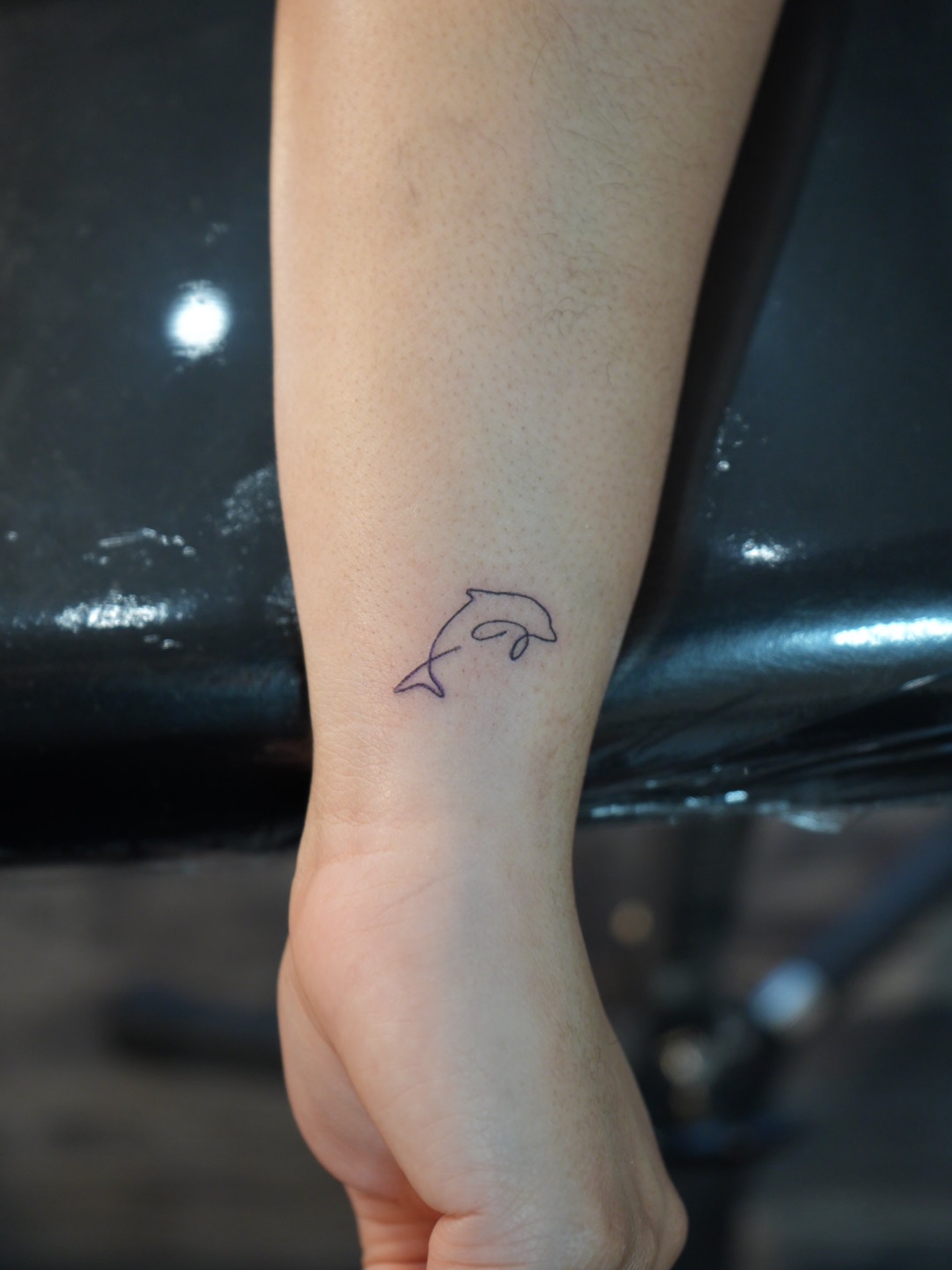 A single line dolphin — tattoo by Melissa Jergensen, Paramus, New Jersey