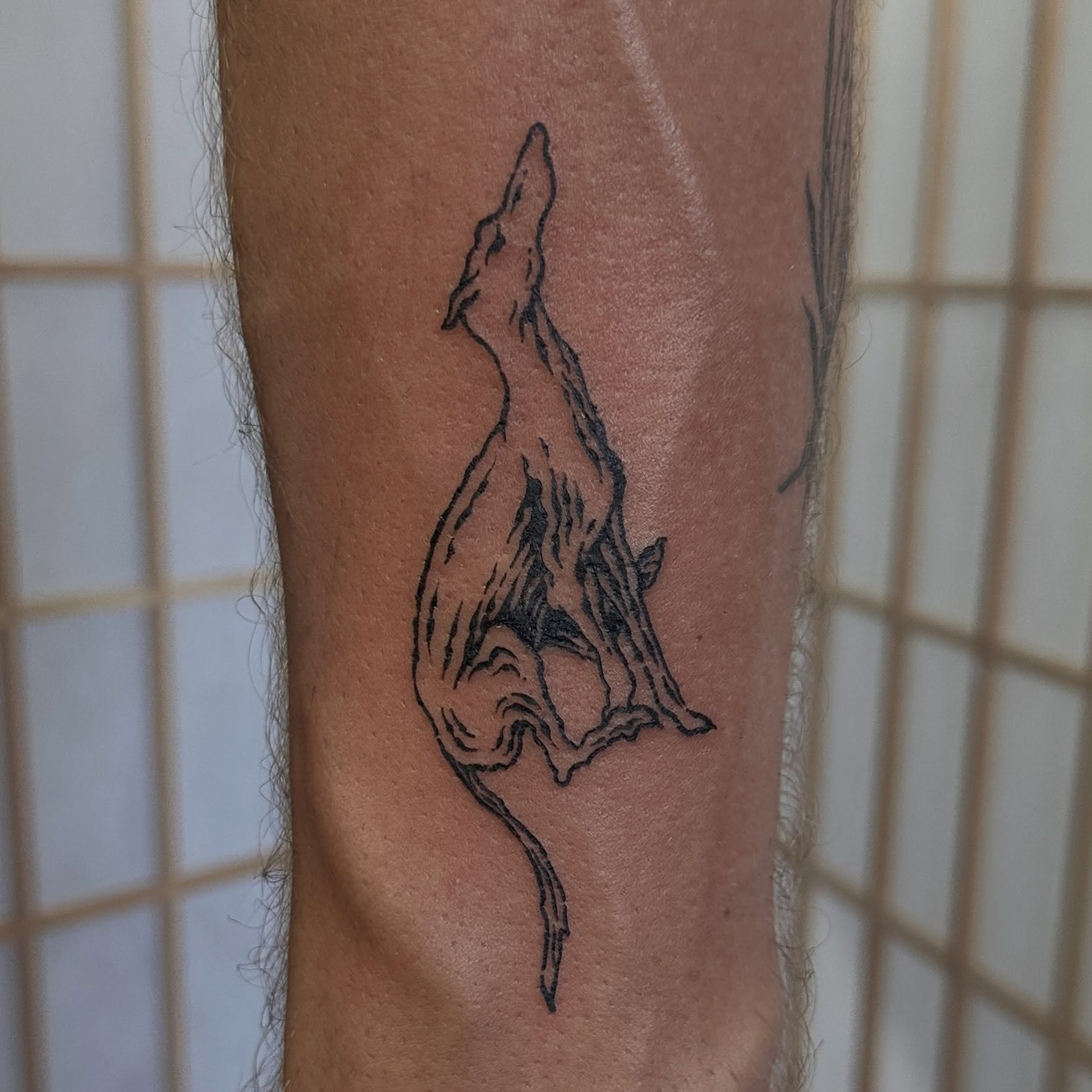 Hound 
#engraving #woodcut #woodcuttattoo #losangelestattoo #losangelestattooart… — tattoo by Mateo Pardo, Los Angeles, California
