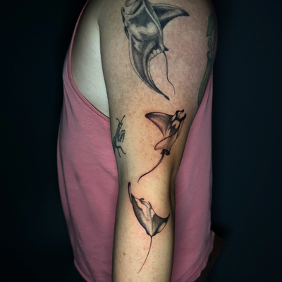 Added these 2 manta rays to one I did a little while ago! Love how they came out… — tattoo by Zoe Blackman, Providence, Rhode Island
