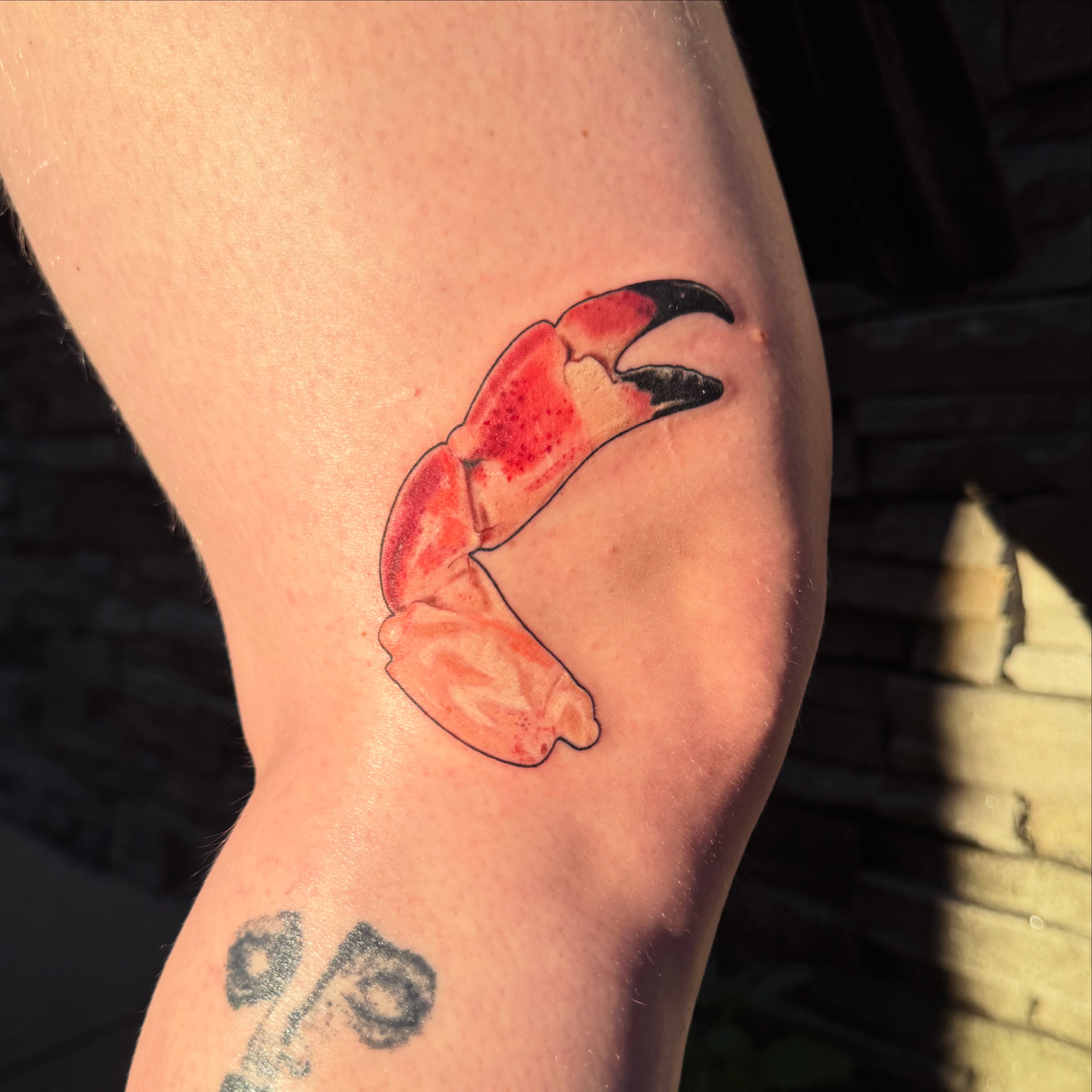 In my coastal girl era ✨🦀 
This was my first attempt at color realism on skin a… — tattoo by Zoe Blackman, Providence, Rhode Island