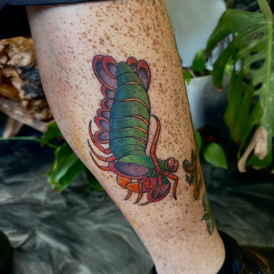 Peacock mantis shrimp for @tylerarivers 

#tattoo #tattooartist #orangecounty #o… — tattoo by Chelsea  Dagger, Orange, California