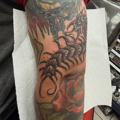 Creepy crawler gap filler on the homie Piotr.
🐛
.
.
.
.
.
.
#centipedetattoo #n… — tattoo by Paulie Smith, Fairless Hills, Pennsylvania