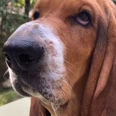 Rad 😊😊😊 — tattoo by Amauris Taveras, la Vega R.D 🇩🇴, La Vega 