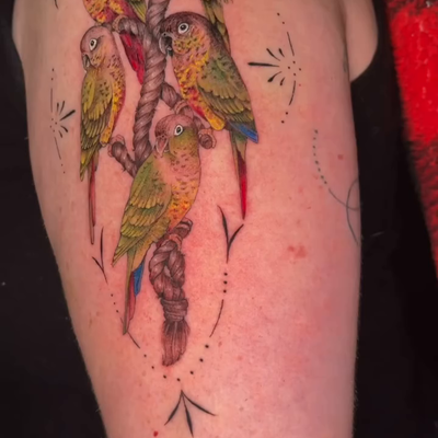 Some green cheek conures 💚 

♡

♡

♡

♡

♡

#conure #tattoo #tattooartist #fyp … — tattoo by Paige Chartrand, Goffstown, New Hampshire