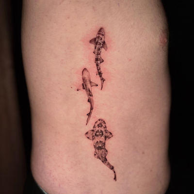 Sharkiesss 🦈 

♡

♡

♡

♡

♡

#fyp #tattoo #tattooartist #foryou #sharks — tattoo by Paige Chartrand, Goffstown, New Hampshire