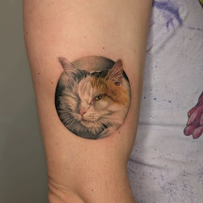 Memorial pet portrait for Matt. Thank you, Matt!

@junebugtattoos 

#winky #cat … — tattoo by Janel Petch, Eagle Rock, CA
