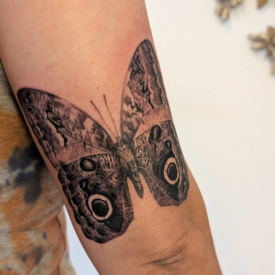 I'm quite behind on posting 🥲

Black and grey owl butterfly. Thank you, Liliana… — tattoo by Janel Petch, Eagle Rock, CA