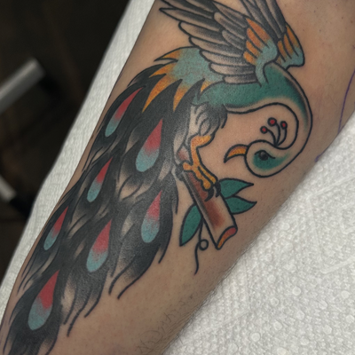 trad peacockkkkk — tattoo by Abbey Edmond, New London, Connecticut