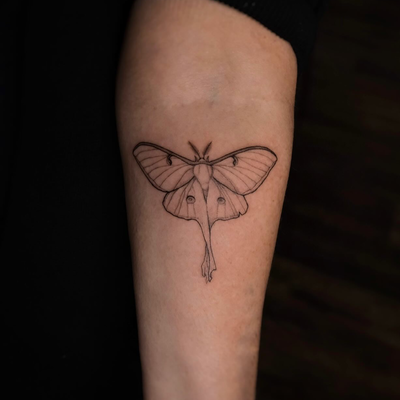 moth tattoos i’ve done ❤️‍🔥 
#mothtattoo — tattoo by Yana Liner, Culver City, California