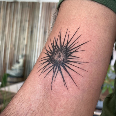 Fine-line sea urchin design
⚡️🔥
DM to get your custom design!
📍109 N La Cieneg… — tattoo by Raivo Broks, Beverly Hills, California
