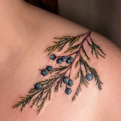 A little color realism branch of juniper flowing onto the collarbone from the sh… — tattoo by Irina Shapiro, Somerville, Massachusetts