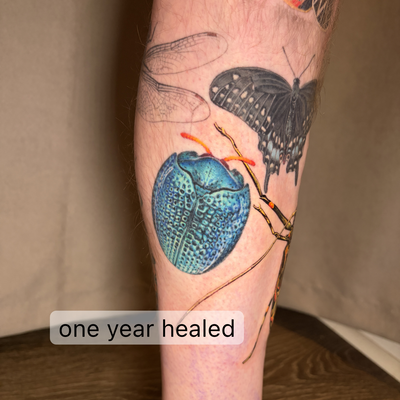 This shiny blue bug whose name I forgot is a year old 🎂 — tattoo by Irina Shapiro, Somerville, Massachusetts