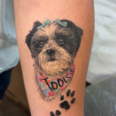 memorial pup, color realism pet portrait — tattoo by Irina Shapiro, Somerville, Massachusetts