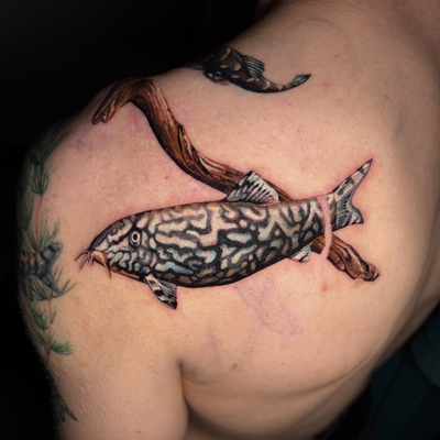 Very much love working on aquatic compositions such as this. All the better if w… — tattoo by Irina Shapiro, Somerville, Massachusetts