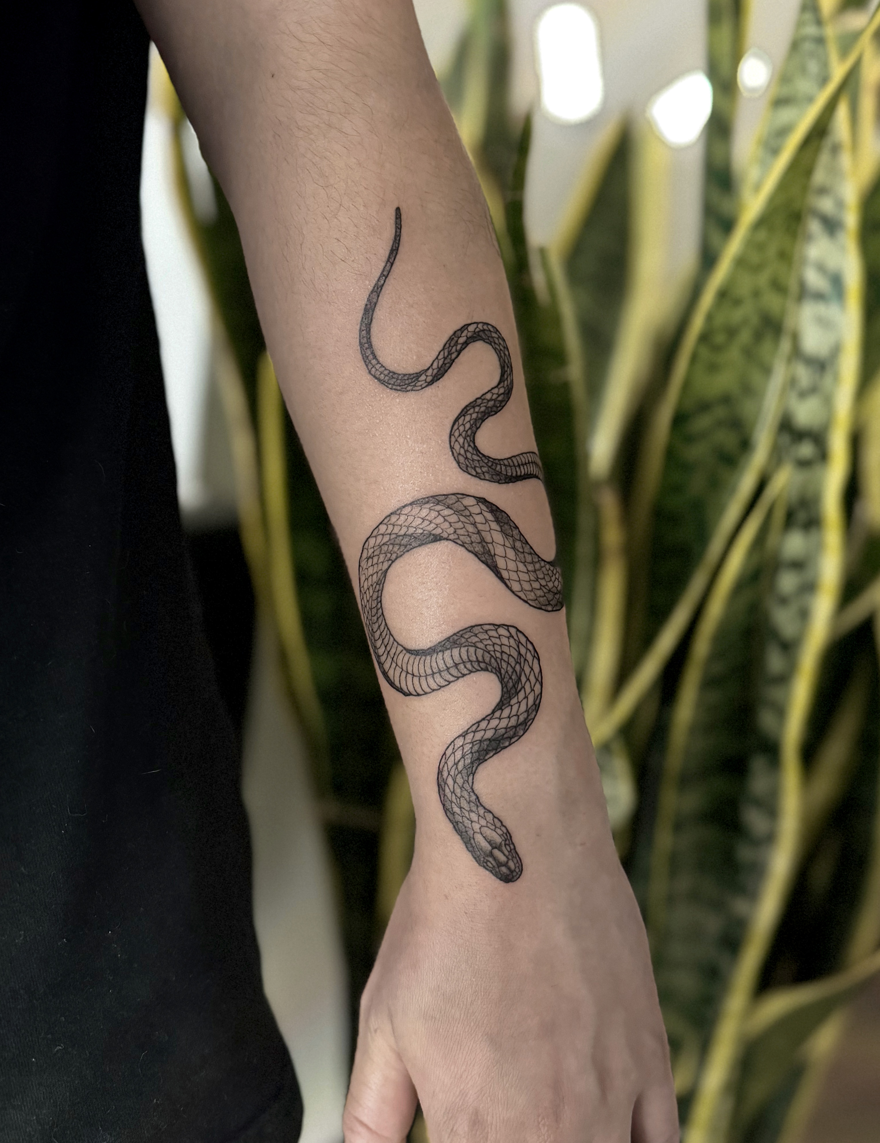 Snake — tattoo by Cihan Pohrenk, Los Angeles, California