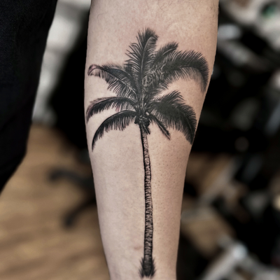 Palm tree — tattoo by Cihan Pohrenk, Los Angeles, California