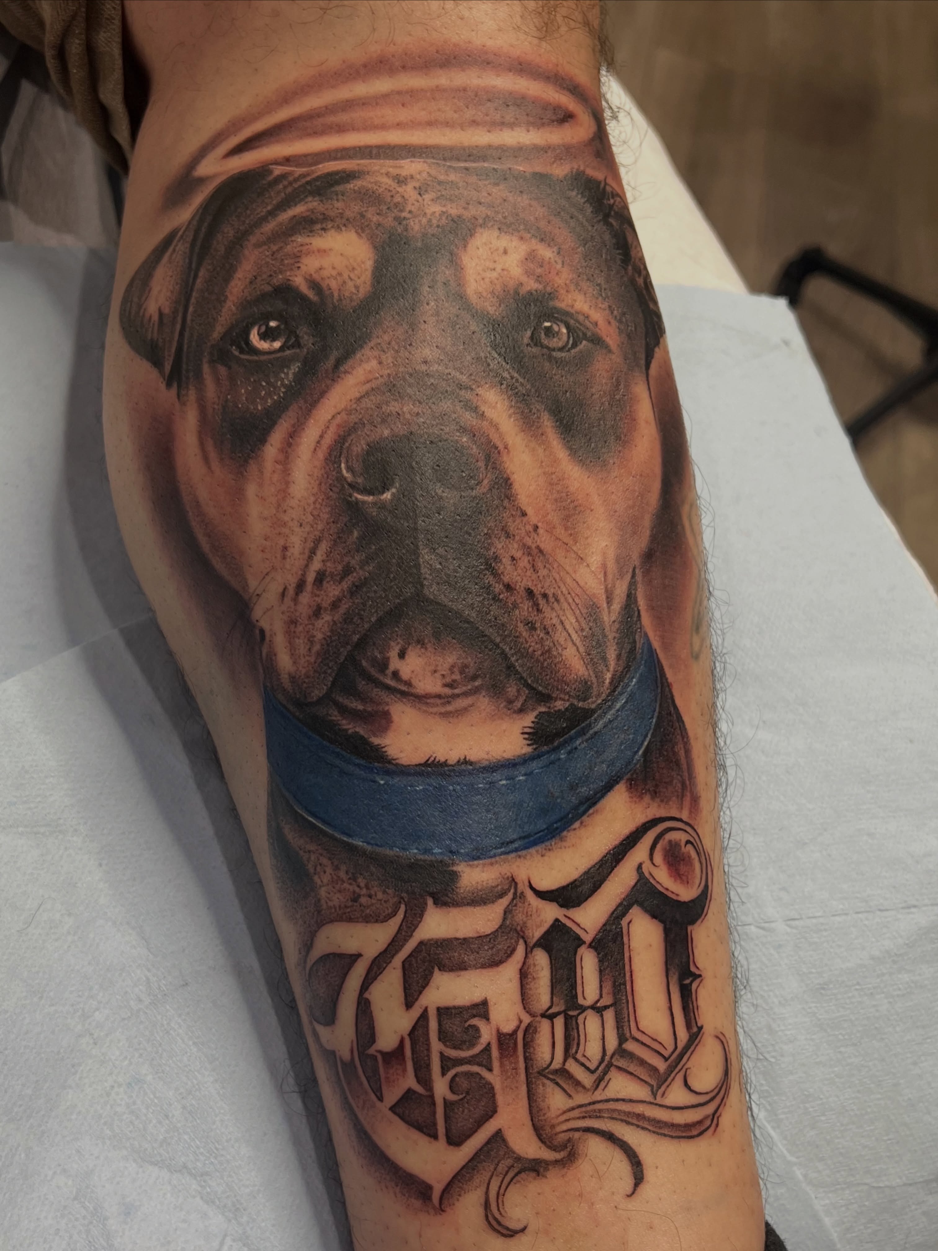 Collab tattoo on the homie @luckylos_tattoo
@westhustleart with the dog portrait… — tattoo by Quan G, Union City, California