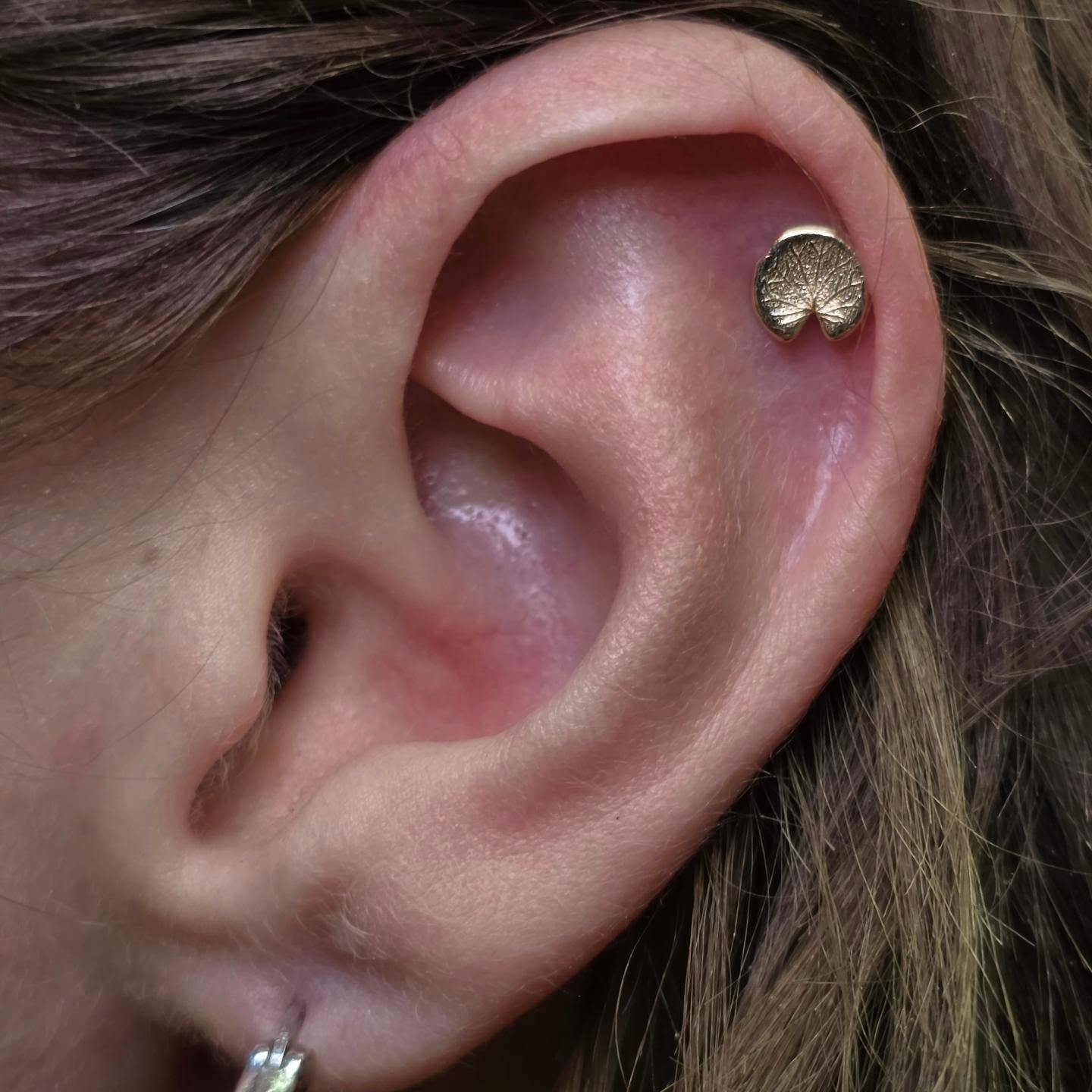 Upper helix with one of my favorite ends from @m.us.hroom the lillypad 🐸

#mush… — tattoo by Kyle Soden, Honesdale, PA