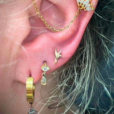 Little 14k hummingbird end in this third lobe from Mushroom body jewelry. Pierce… — tattoo by Kyle Soden, Honesdale, PA
