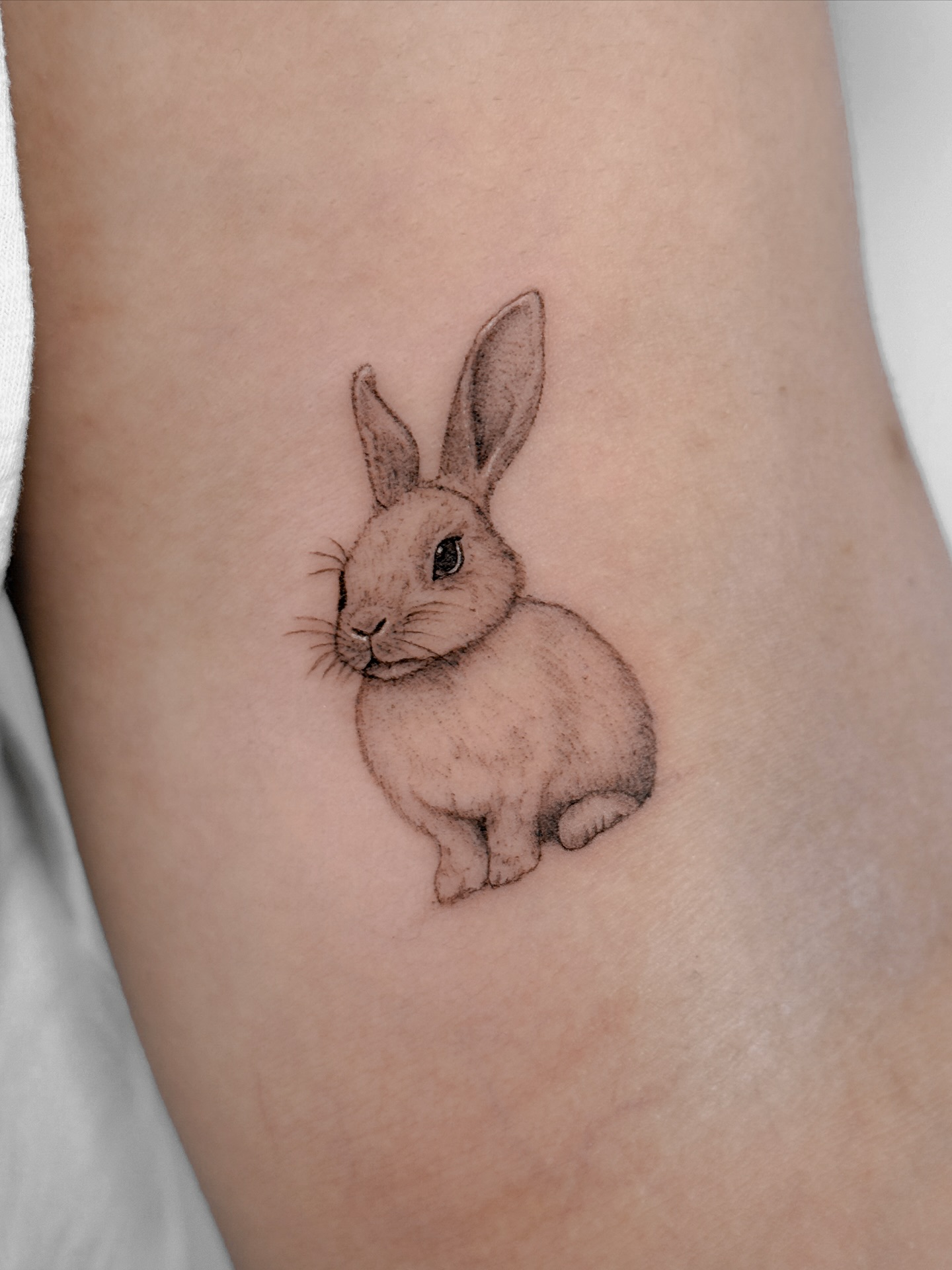 🐰🫶🏼 — tattoo by Agnė Kastanauskaitė, Los Angeles, California