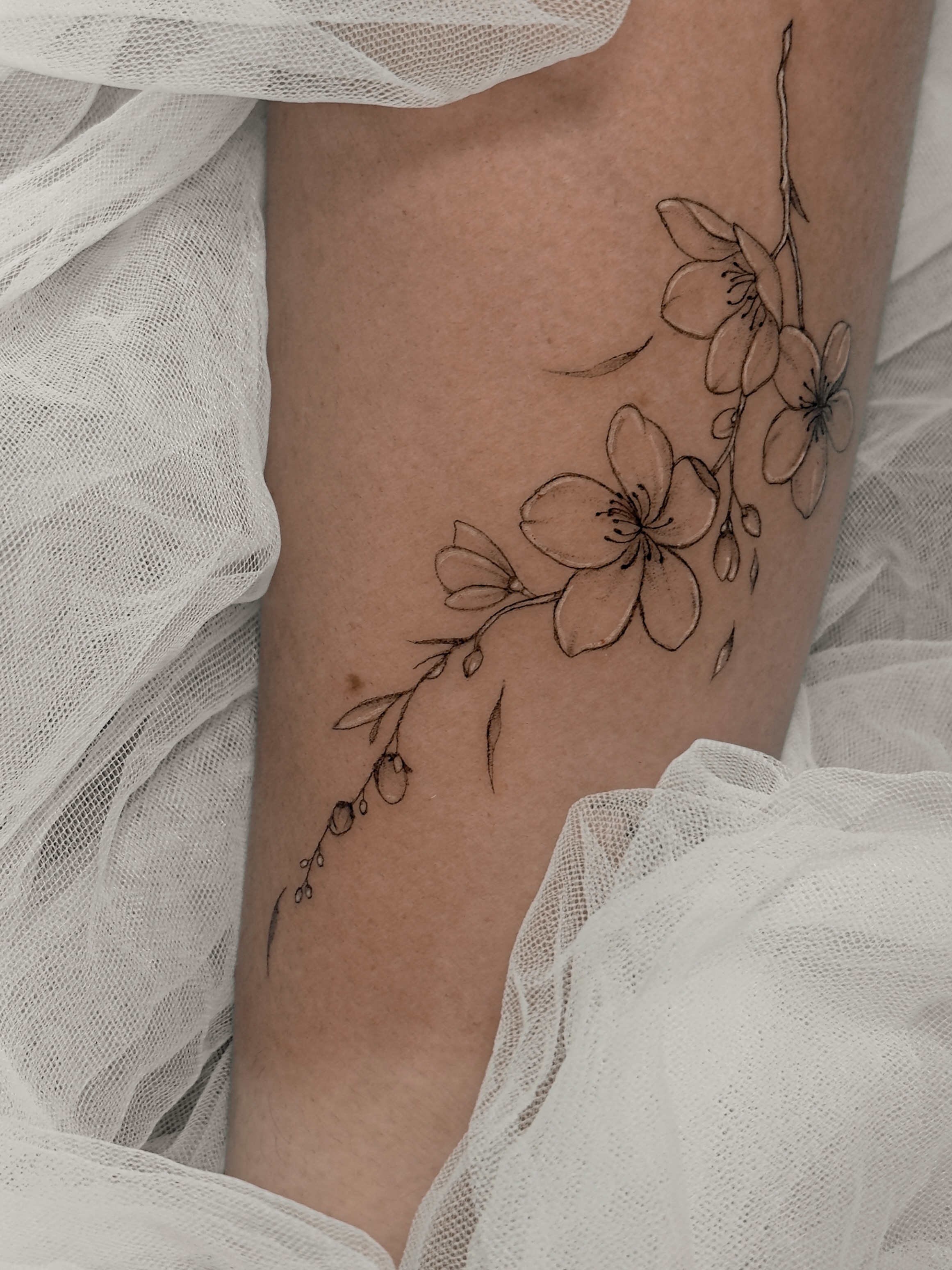 Delicate single needle Cherry blossom tattoo🌸 

#CherryBlossomTattoo #SingleNee… — tattoo by Agnė Kastanauskaitė, Los Angeles, California