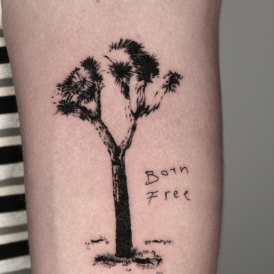 Joshua tree from my “hometown”, flash 🌞 
Done in San Diego @chapteronetattoo — tattoo by Drake Chiesa, San Diego, California