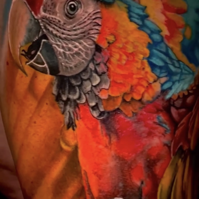 Tattoo by ShyftdInk: pretty  Bird pretty  Bird