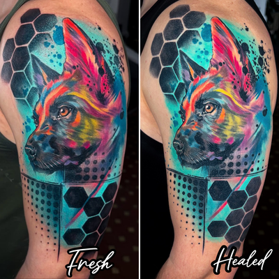 Here’s some #freshvshealed for ya. I just saw the neotrad pup portrait the other… — tattoo by Seth Holmes, Pittsburgh, Pennsylvania