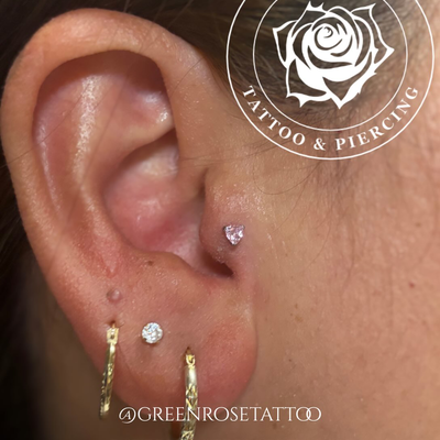 Some classic but clean piercings done by Stephen recently. Piercings are done on… — tattoo by Stephen Marion, Holyoke, Massachusetts