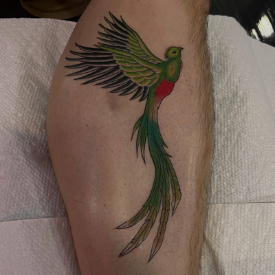Quetzal que trabaje esta semana, me gusta mucho trabajar quetzales quien será el… — tattoo by Pablo  Cardona, Ciudad de Guatemala , Guatemala 