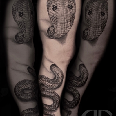 “Striking black & gray cobra tattoo crafted with precision at Industrial Art Har… — tattoo by Albert Rosal, Harrison, New Jersey