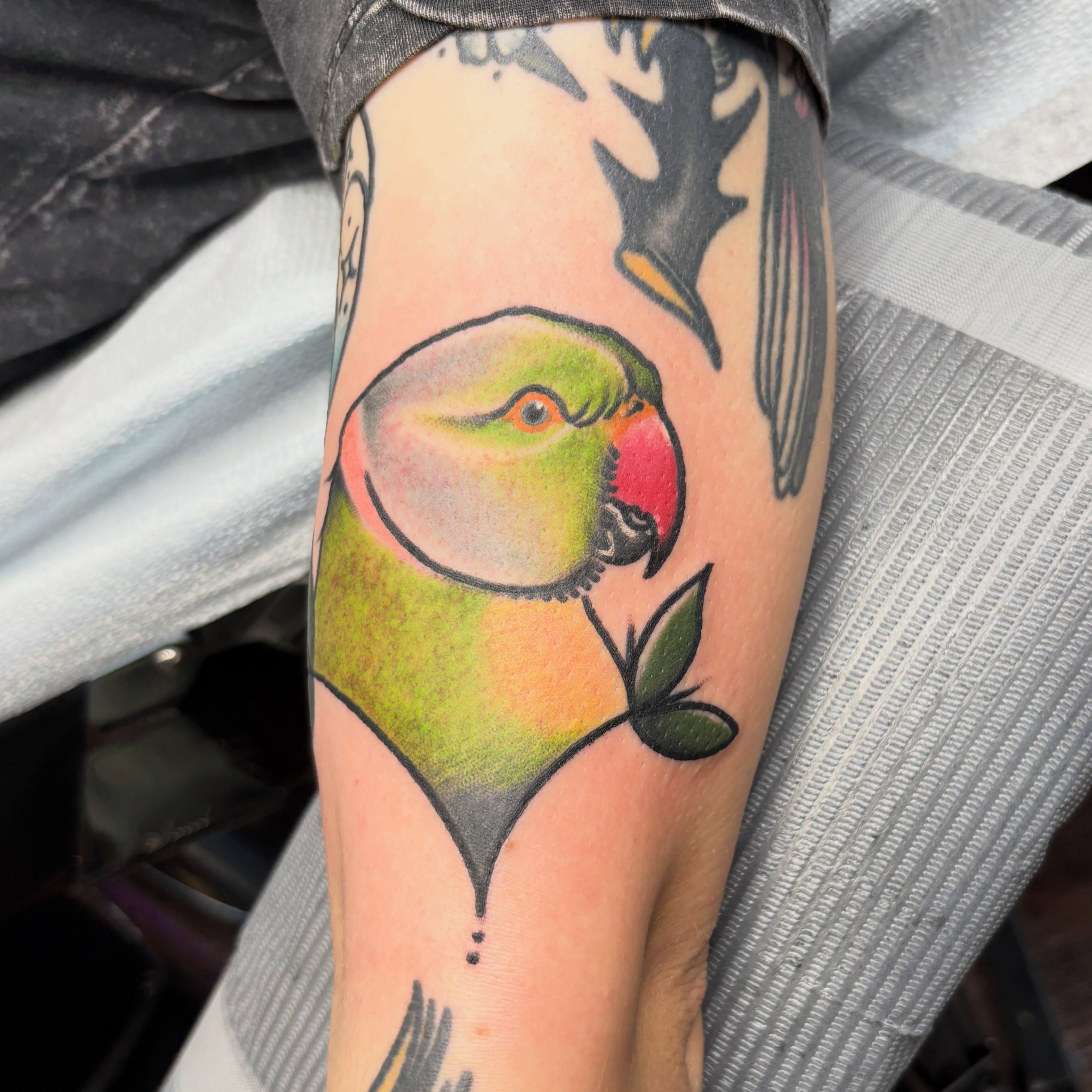 A little last minute addition

#houstontattooartist #superchangotattoo #springtx… — tattoo by D J, Spring, Texas