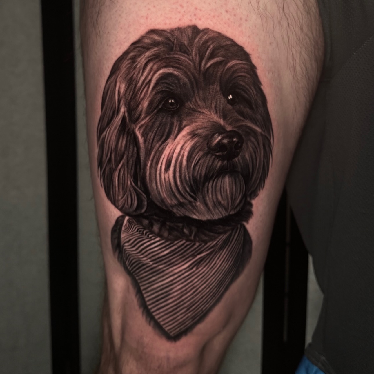 Meet Goose, an adorable golden doodle.  Haven’t posted a pet portrait in a while… — tattoo by Ryley  Smith, Bozeman, Montana