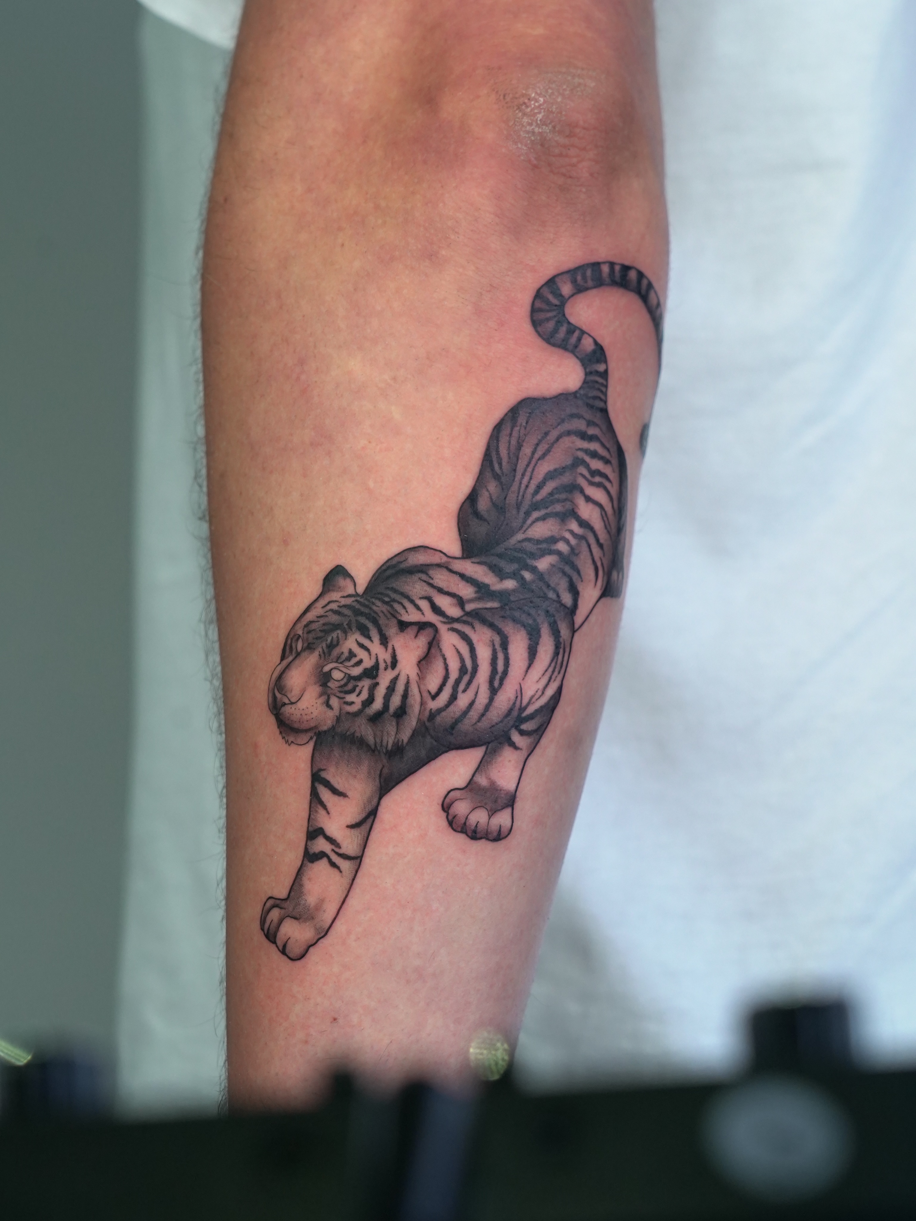 I had a lot of fun with this tiger. 

Dm to chat about your ideas and we can get… — tattoo by Liam Roberts, Toronto, Ontario