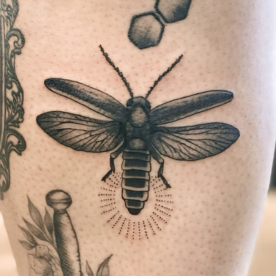 Black & grey firefly piece with soft contrast and subtle dotwork. Really enjoyed… — tattoo by Ray Trombetta, Wallingford, Connecticut
