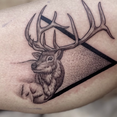 fineline illustrative Elk — tattoo by Brian Riggs, Temecula, California