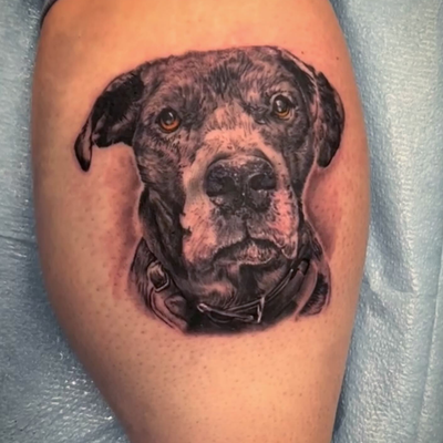 Fun puppy portrait I did. Thanks for looking, enjoy! #portraittattoo #petportrai… — tattoo by Tom Doyle, Phoenix, New York