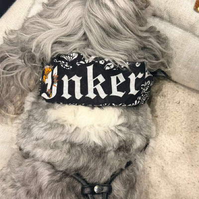 @Villain Arts Expo, Palm Springs 🐶🌴 — tattoo by Inker App, Woburn, Massachusetts